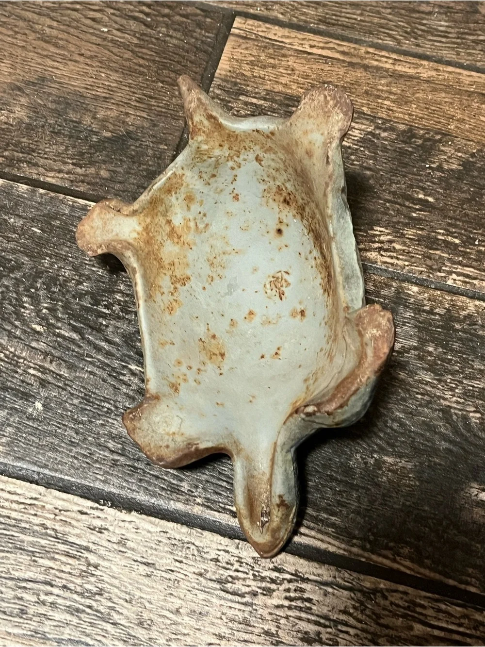 Vintage cast iron turtle doorstop/ garden decor Accessory